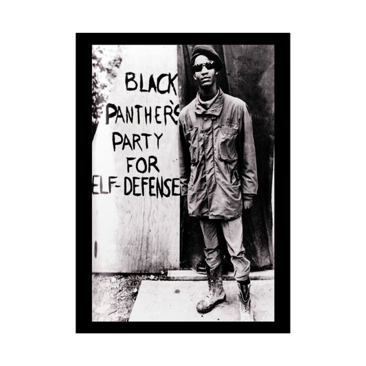 Black History Black Panther Poster , Civli Rights Poster , Activism Poster , Black Panther Art Print Rolled Posters