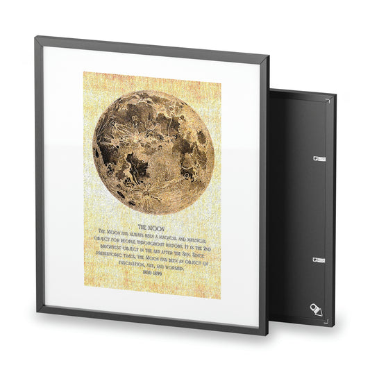 Antique Natural Science and Astronomy Art Print | Vintage Collection | Multiple Sizes
